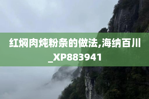 红焖肉炖粉条的做法,海纳百川_XP883941