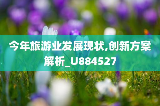 今年旅游业发展现状,创新方案解析_U884527