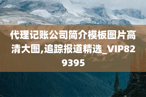 代理记账公司简介模板图片高清大图,追踪报道精选_VIP829395