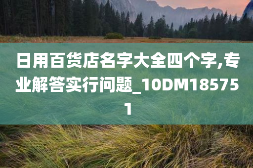 日用百货店名字大全四个字,专业解答实行问题_10DM185751