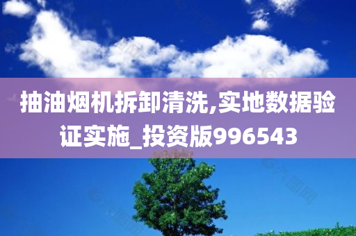 抽油烟机拆卸清洗,实地数据验证实施_投资版996543