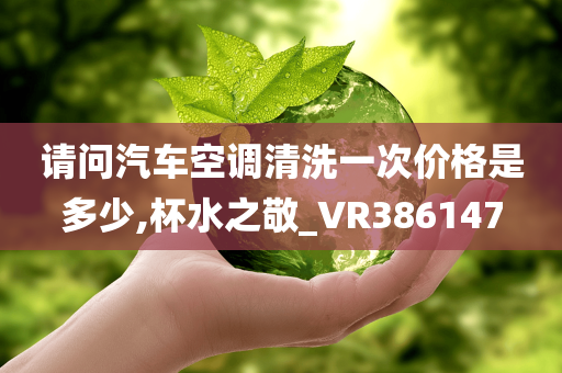 请问汽车空调清洗一次价格是多少,杯水之敬_VR386147