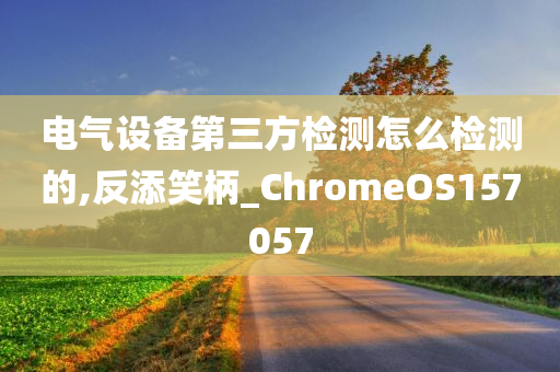 电气设备第三方检测怎么检测的,反添笑柄_ChromeOS157057