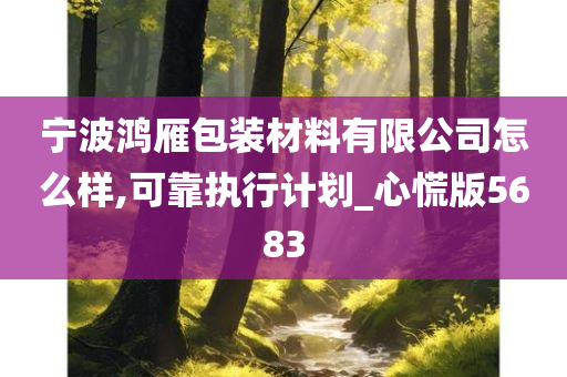 宁波鸿雁包装材料有限公司怎么样,可靠执行计划_心慌版5683