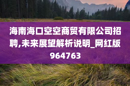 海南海口空空商贸有限公司招聘,未来展望解析说明_网红版964763