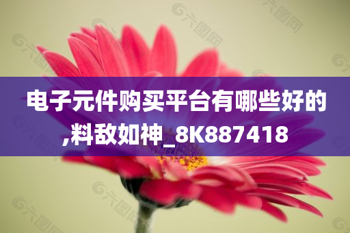 电子元件购买平台有哪些好的,料敌如神_8K887418