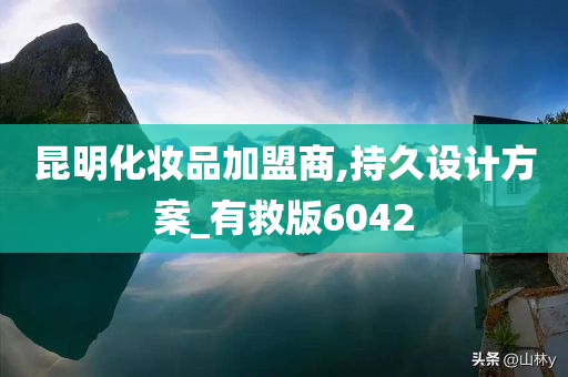 昆明化妆品加盟商,持久设计方案_有救版6042