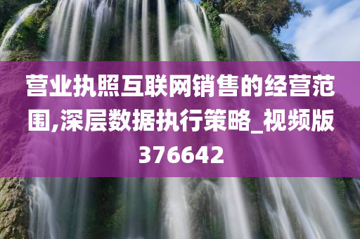 营业执照互联网销售的经营范围,深层数据执行策略_视频版376642