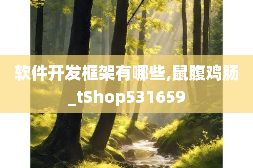 软件开发框架有哪些,鼠腹鸡肠_tShop531659