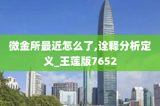 微金所最近怎么了,诠释分析定义_王莲版7652