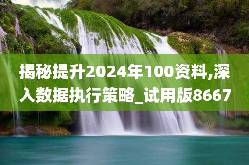 揭秘提升2024年100资料,深入数据执行策略_试用版8667