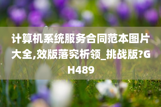 计算机系统服务合同范本图片大全,效版落究析领_挑战版?GH489