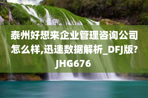 泰州好想来企业管理咨询公司怎么样,迅速数据解析_DFJ版?JHG676