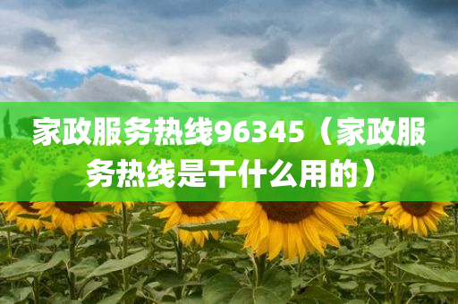 家政服务热线96345（家政服务热线是干什么用的）