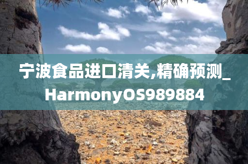 宁波食品进口清关,精确预测_HarmonyOS989884