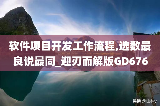 软件项目开发工作流程,选数最良说最同_迎刃而解版GD676