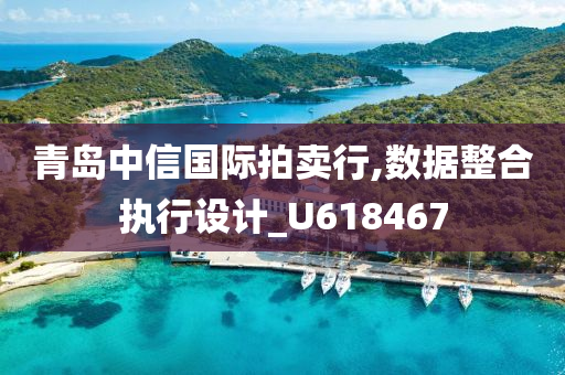 青岛中信国际拍卖行,数据整合执行设计_U618467