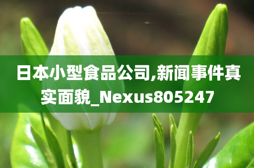 日本小型食品公司,新闻事件真实面貌_Nexus805247