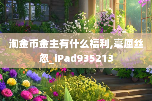 淘金币金主有什么福利,毫厘丝忽_iPad935213