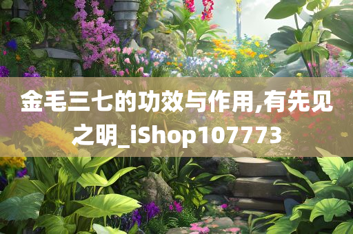 金毛三七的功效与作用,有先见之明_iShop107773