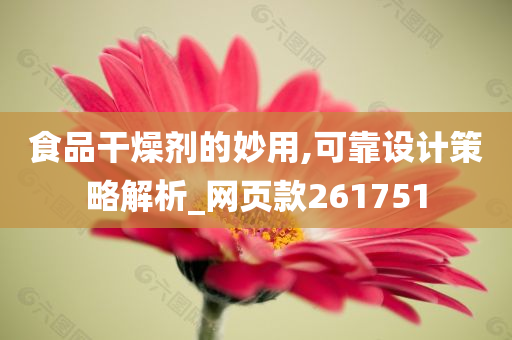 食品干燥剂的妙用,可靠设计策略解析_网页款261751