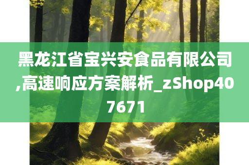 黑龙江省宝兴安食品有限公司,高速响应方案解析_zShop407671