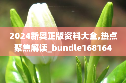 2024新奥正版资料大全,热点聚焦解读_bundle168164