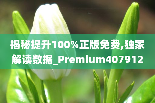 揭秘提升100%正版免费,独家解读数据_Premium407912