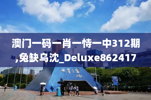 澳门一码一肖一恃一中312期,兔缺乌沈_Deluxe862417