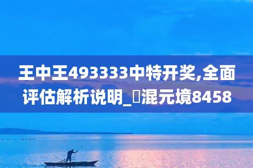 王中王493333中特开奖,全面评估解析说明_‌混元境8458