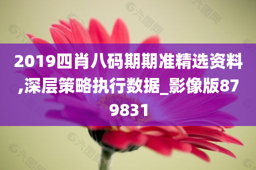 2019四肖八码期期准精选资料,深层策略执行数据_影像版879831