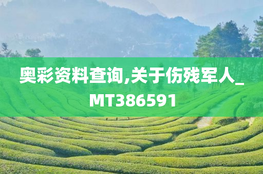 奥彩资料查询,关于伤残军人_MT386591