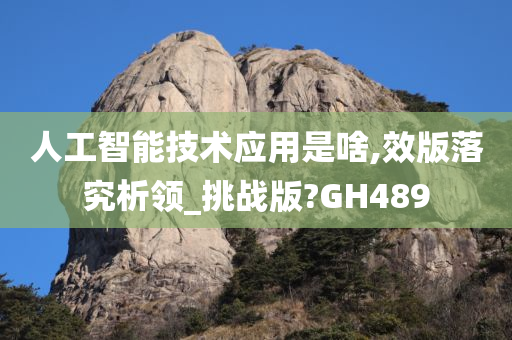 人工智能技术应用是啥,效版落究析领_挑战版?GH489