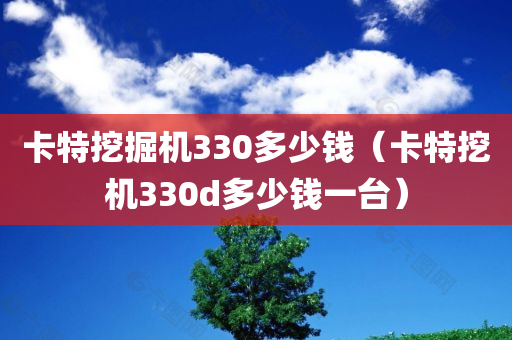 卡特挖掘机330多少钱（卡特挖机330d多少钱一台）