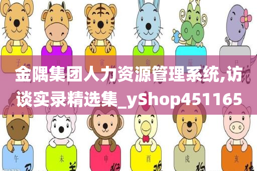 金隅集团人力资源管理系统,访谈实录精选集_yShop451165