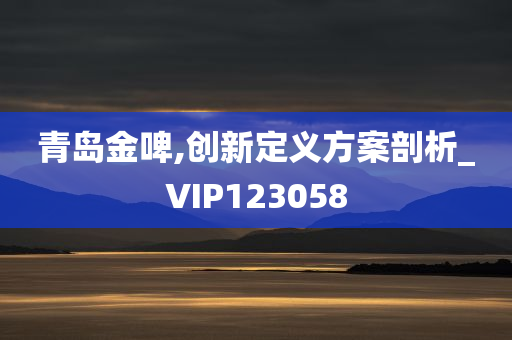 青岛金啤,创新定义方案剖析_VIP123058