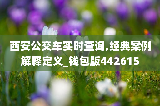 西安公交车实时查询,经典案例解释定义_钱包版442615