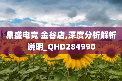 鼎盛电竞 金谷店,深度分析解析说明_QHD284990