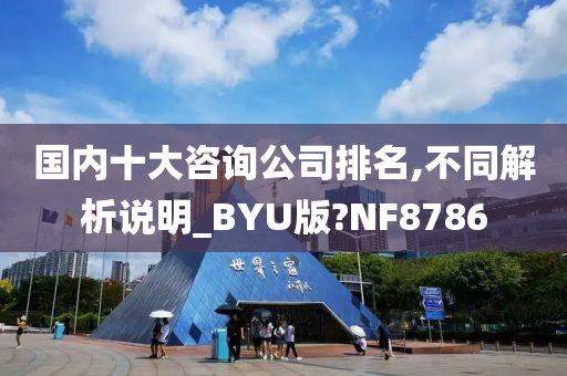 国内十大咨询公司排名,不同解析说明_BYU版?NF8786