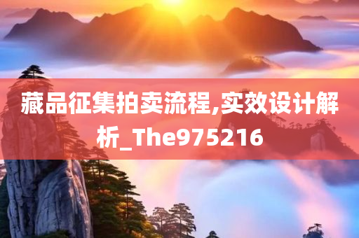 藏品征集拍卖流程,实效设计解析_The975216