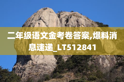 二年级语文金考卷答案,爆料消息速递_LT512841