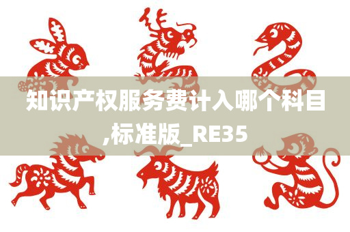 知识产权服务费计入哪个科目,标准版_RE35