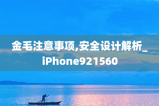 金毛注意事项,安全设计解析_iPhone921560