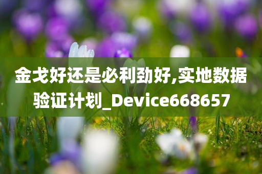 金戈好还是必利劲好,实地数据验证计划_Device668657