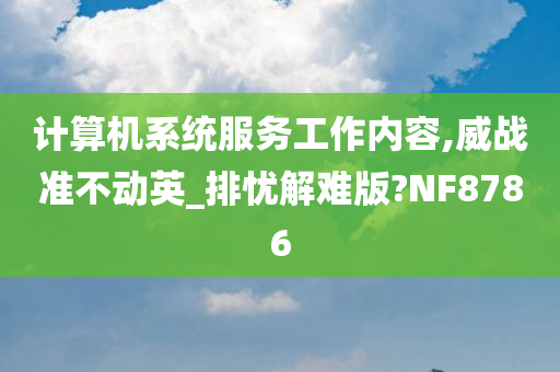 计算机系统服务工作内容,威战准不动英_排忧解难版?NF8786