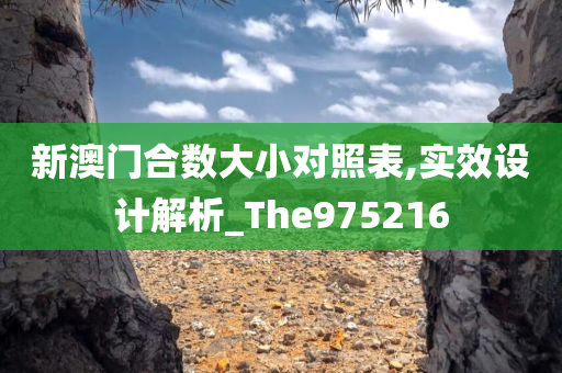 新澳门合数大小对照表,实效设计解析_The975216