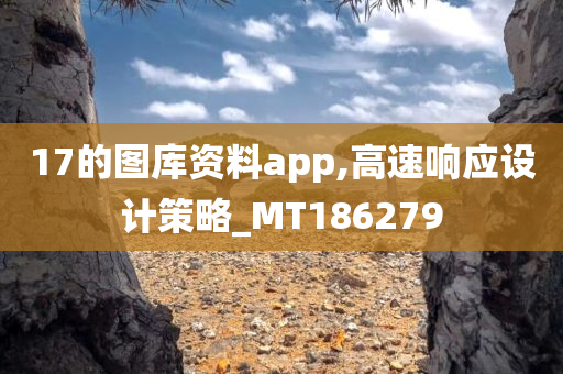 17的图库资料app,高速响应设计策略_MT186279