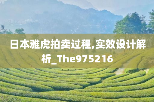 日本雅虎拍卖过程,实效设计解析_The975216