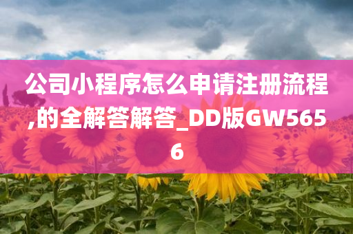 公司小程序怎么申请注册流程,的全解答解答_DD版GW5656