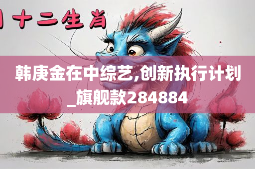 韩庚金在中综艺,创新执行计划_旗舰款284884